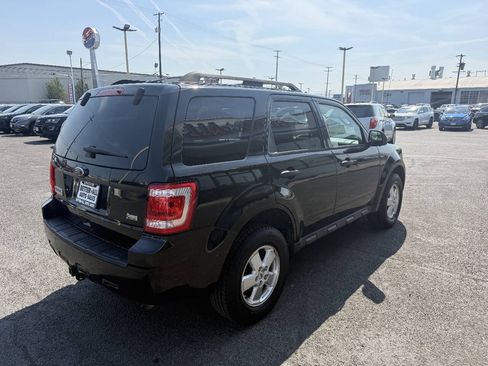 Used 2011 Ford Escape XLT w/ 201A Rapid Spec Order Code AWD/4WD image 3