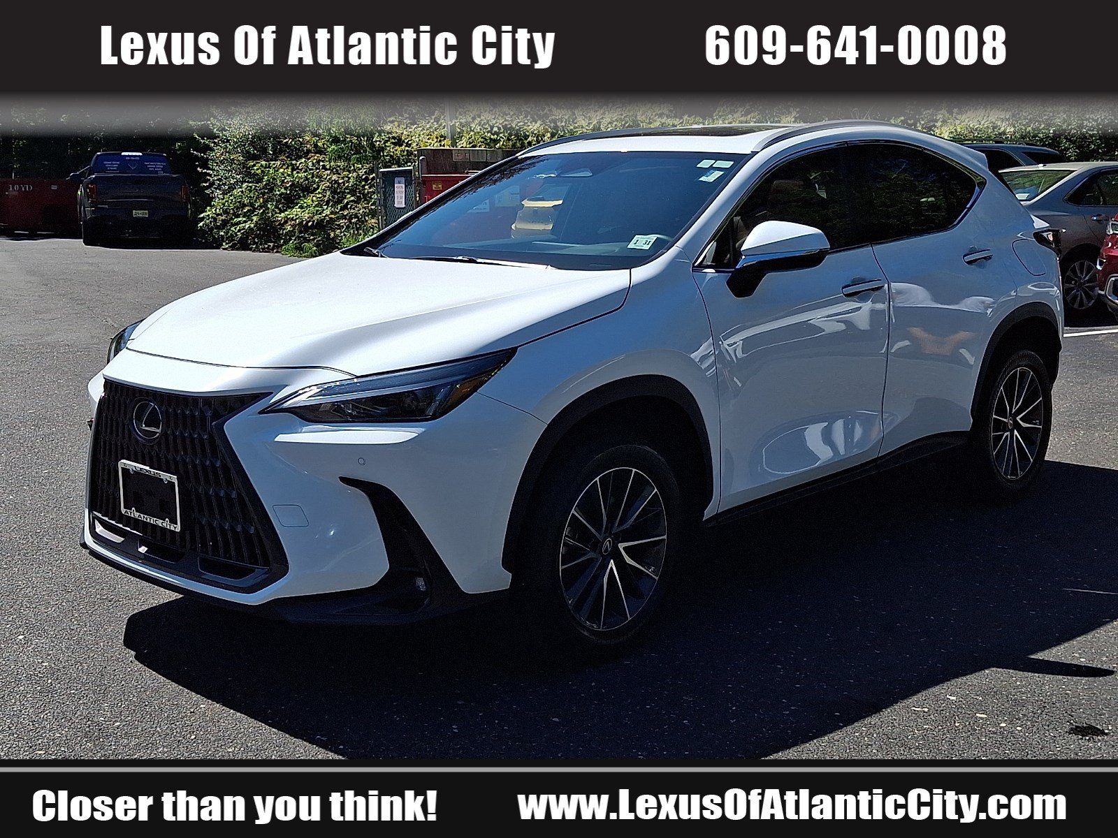 Used 2026 Lexus NX 350h AWD w/ Cold Area Package image 3