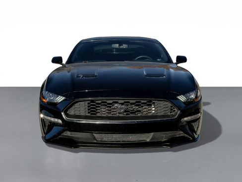 Used 2019 Ford Mustang Coupe image 3
