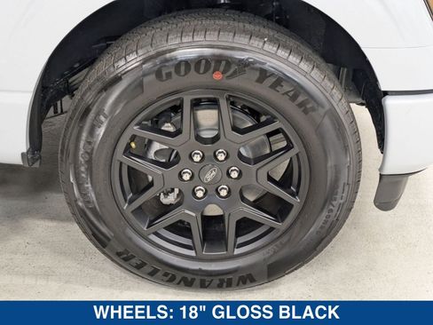 New 2025 Ford F150 STX w/ STX Black Appearance Package RWD image 12