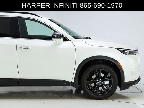 Used 2025 INFINITI QX60 Luxe w/ Black Edition image 54