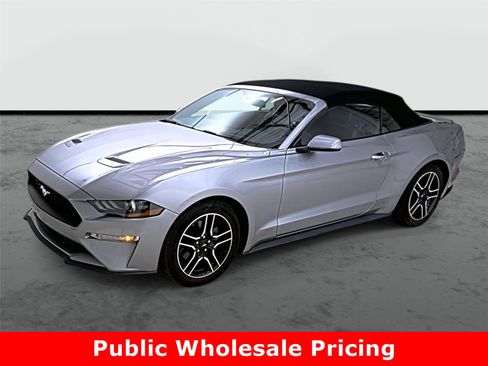 Used 2020 Ford Mustang Premium image 1