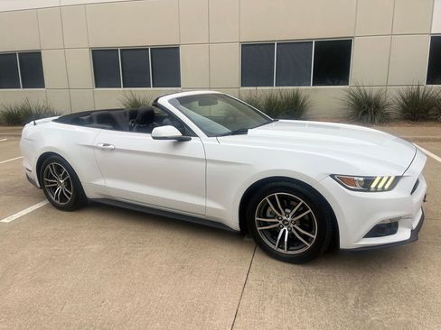 Used 2017 Ford Mustang Premium image 11