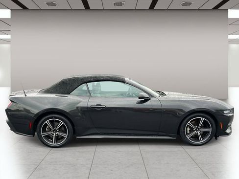 Used 2024 Ford Mustang Premium RWD image 2