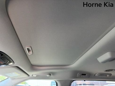 New 2026 Kia Carnival SX FWD image 19