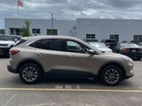 Used 2020 Ford Escape SE image 2