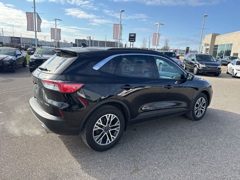 Used 2020 Ford Escape SEL image 5