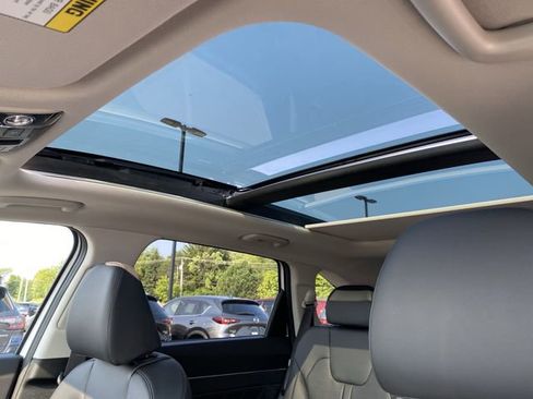 New 2025 Kia Sorento SX image 7