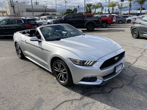 Used 2017 Ford Mustang Premium image 7