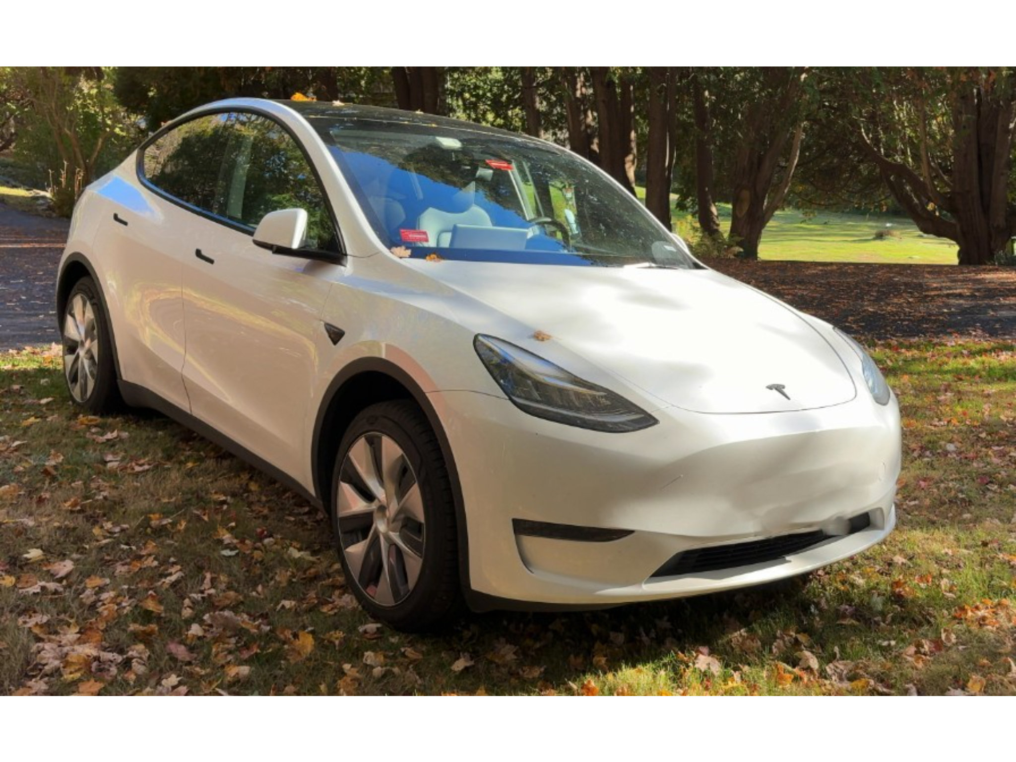 Used 2023 Tesla Model Y Long Range AWD/4WD image 4