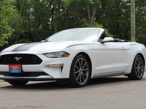 Used 2019 Ford Mustang Premium w/ Equipment Group 201A RWD image 3