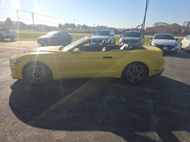 Used 2018 Ford Mustang Premium w/ Equipment Group 201A RWD image 4