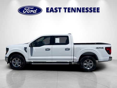 Used 2025 Ford F150 XLT w/ Equipment Group 301A Standard AWD/4WD image 6