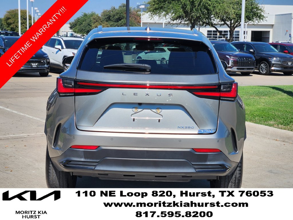 Used 2024 Lexus NX 250 FWD w/ Cold Area Package image 13