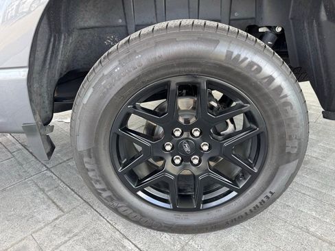 Used 2024 Ford F150 STX w/ STX Black Appearance Package image 4