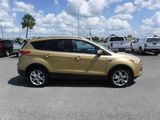 Used 2014 Ford Escape Titanium image 3