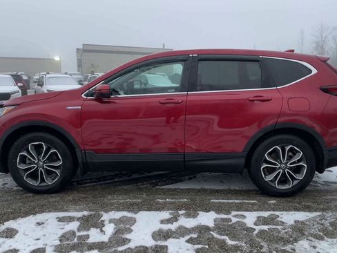 Certified 2022 Honda CR-V EX-L image 6