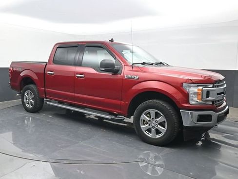 Used 2019 Ford F150 XLT w/ Equipment Group 302A Luxury image 1