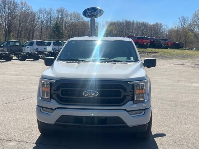Used 2023 Ford F150 XLT w/ Equipment Group 302A High AWD/4WD image 2