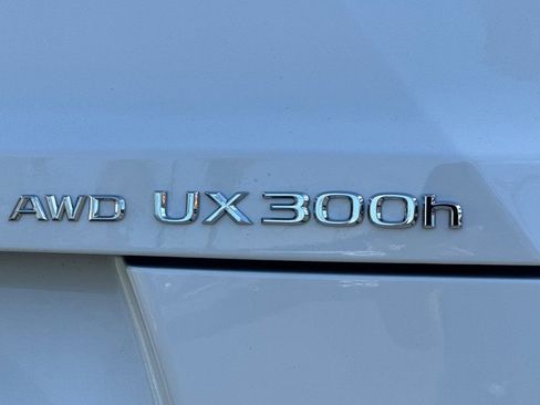 New 2026 Lexus UX 300h AWD image 20
