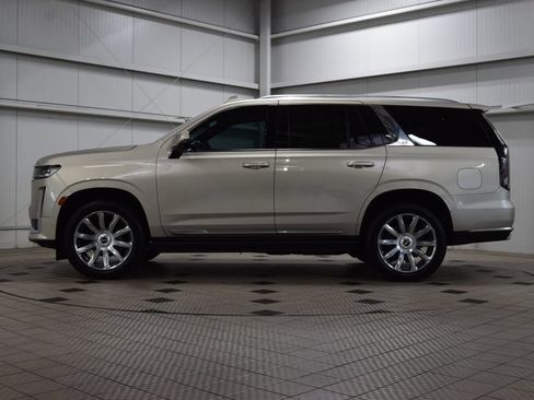 Used 2023 Cadillac Escalade Premium Luxury Platinum AWD/4WD image 4