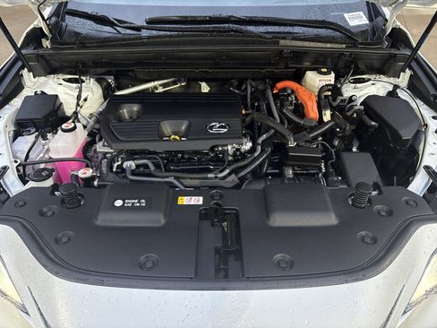 Used 2025 Lexus NX 350h AWD w/ Cold Area Package image 34