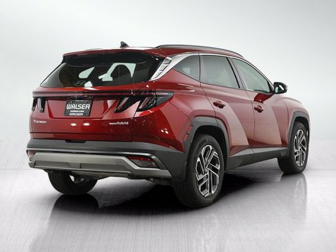 Used 2025 Hyundai Tucson Limited AWD/4WD image 5
