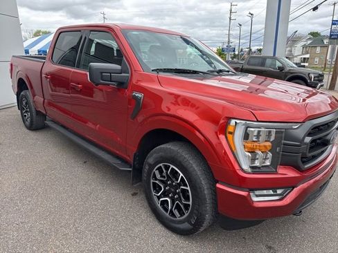 Certified 2023 Ford F150 XLT w/ Equipment Group 302A High AWD/4WD image 4