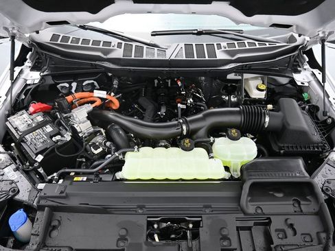 New 2025 Ford F150 XLT w/ Equipment Group 302A MID image 33