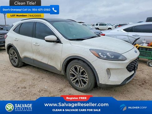 Used 2020 Ford Escape SEL image 5