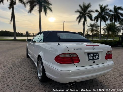 Used 2001 Mercedes-Benz CLK 430 Cabriolet image 5