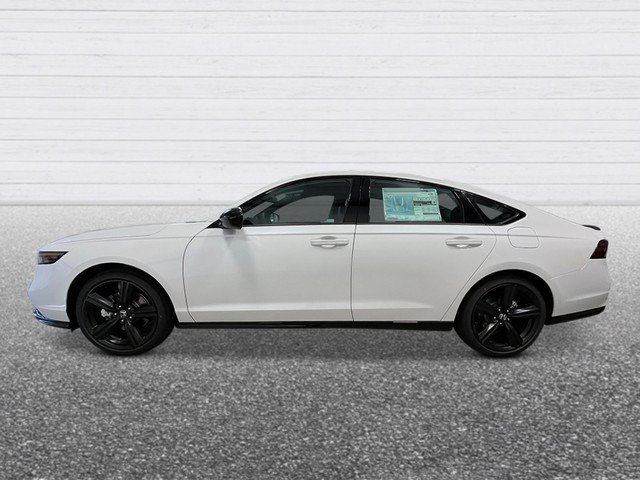 New 2026 Honda Accord Sport image 3