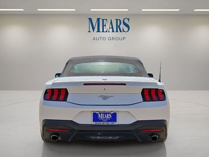 Used 2024 Ford Mustang Premium