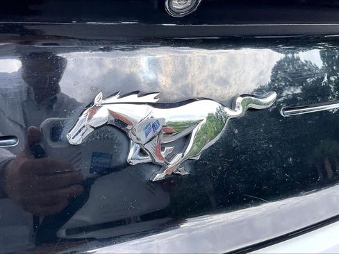 Used 2018 Ford Mustang Premium w/ Equipment Group 201A RWD image 27