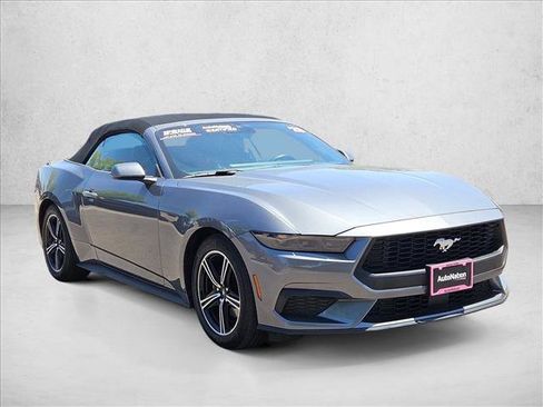 Used 2025 Ford Mustang Premium RWD image 3