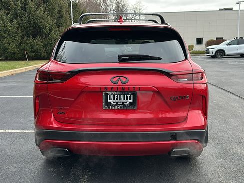 New 2025 INFINITI QX50 Sport w/ Cargo Package image 4