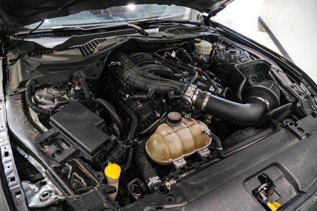 Used 2017 Ford Mustang Coupe RWD image 42