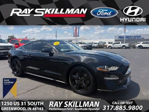Certified 2023 Ford Mustang GT w/ Mustang Nite Pony Package RWD image 1