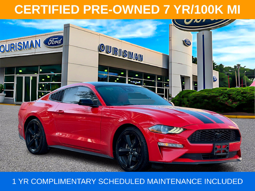 Used 2023 Ford Mustang Coupe w/ Mustang Nite Pony Package RWD image 1