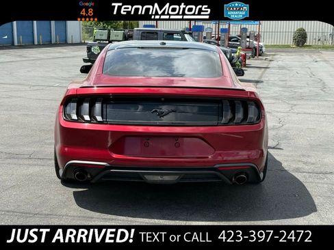 Used 2019 Ford Mustang Coupe w/ Black Accent Package image 6