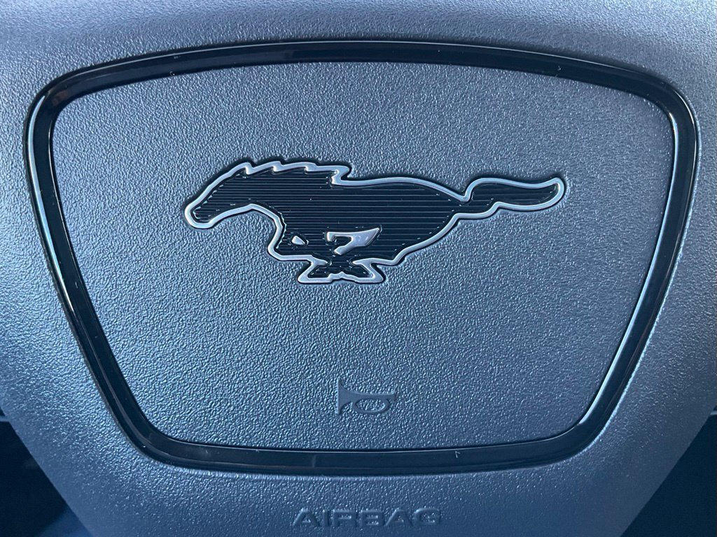 Used 2023 Ford Mustang Mach-E Premium RWD image 44
