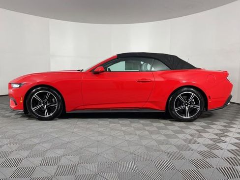 Used 2024 Ford Mustang Premium image 6