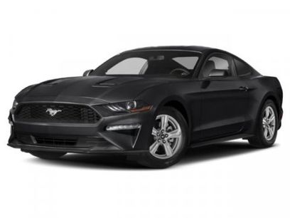 Used 2019 Ford Mustang Premium