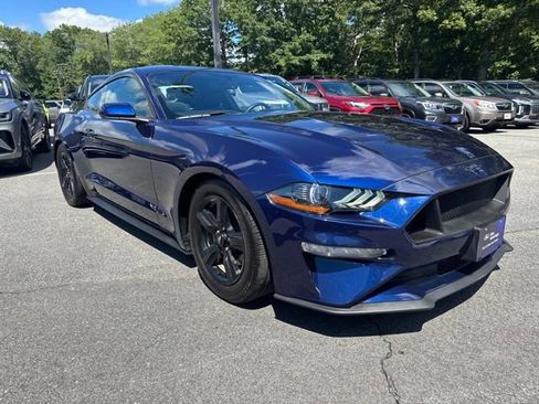 Used 2019 Ford Mustang Coupe RWD image 4