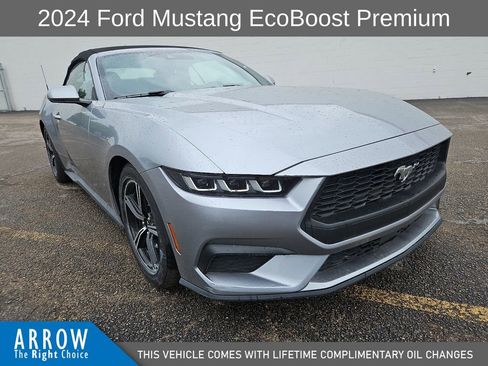 Used 2024 Ford Mustang Premium RWD image 2