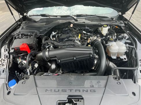 Used 2024 Ford Mustang Premium image 31