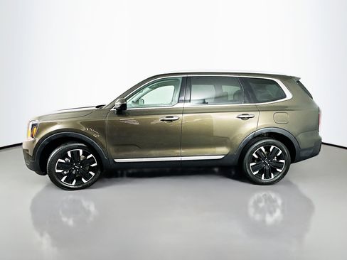 Used 2024 Kia Telluride SX Prestige image 4