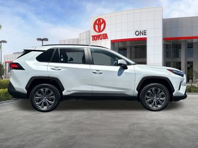 Certified 2025 Toyota RAV4 XLE Premium w/ Weather Package
