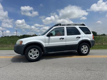 Used 2004 Ford Escape XLT