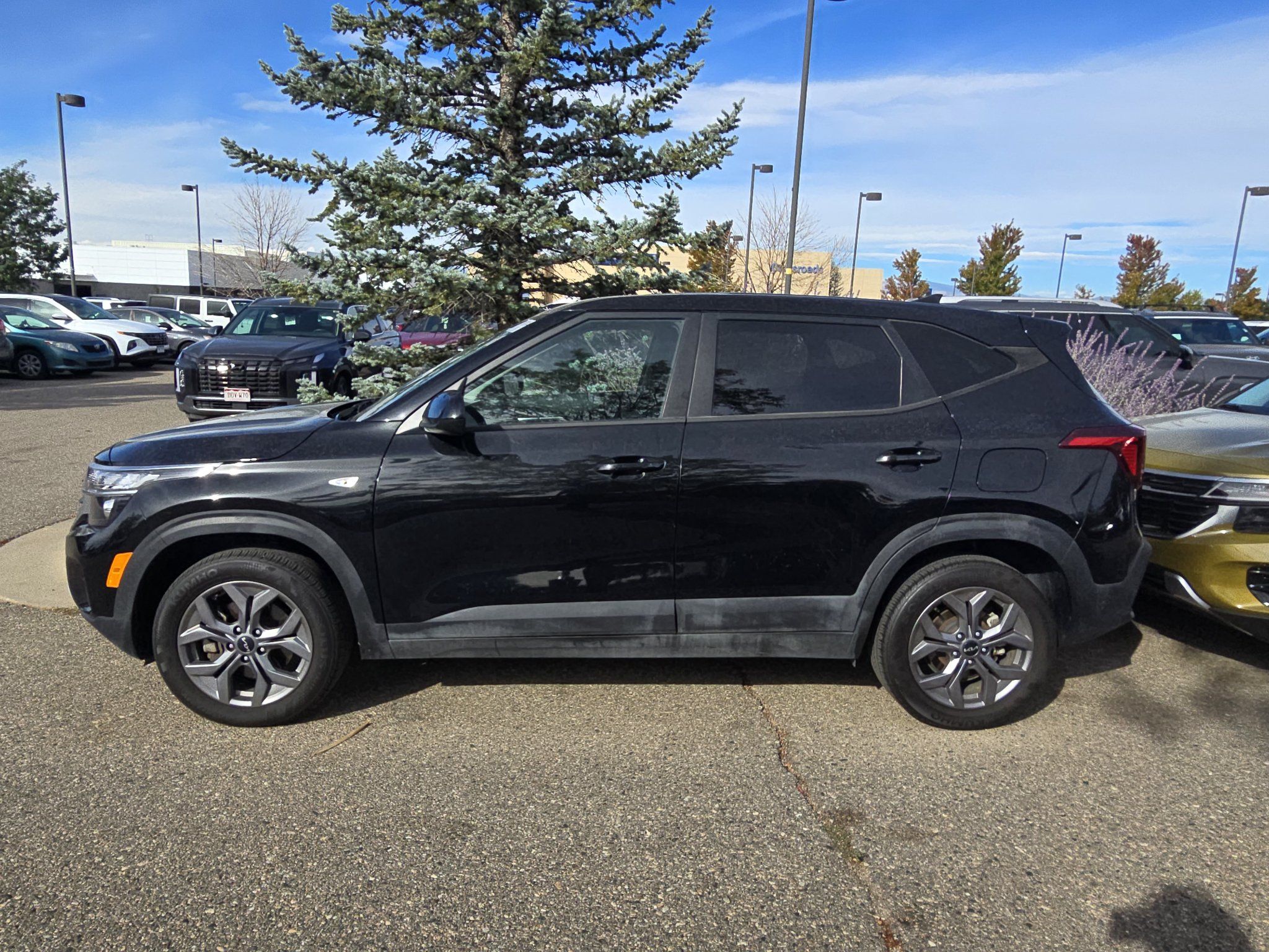 Used 2024 Kia Seltos LX AWD/4WD image 2
